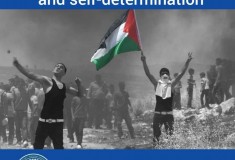 430305517_724194853222488_1431700437316953710_n