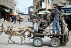 495909874_9806008722813448_3859471833266530409_n