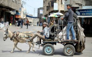 495909874_9806008722813448_3859471833266530409_n