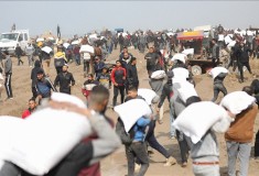 512210479_23880114718309612_4389167390885286491_n