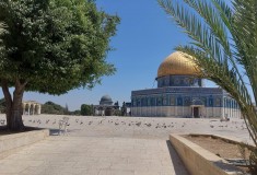 651748392_26146429315011463_1720506876845026251_n