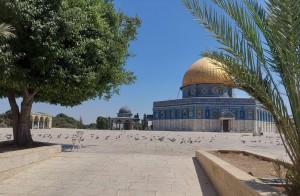 651748392_26146429315011463_1720506876845026251_n